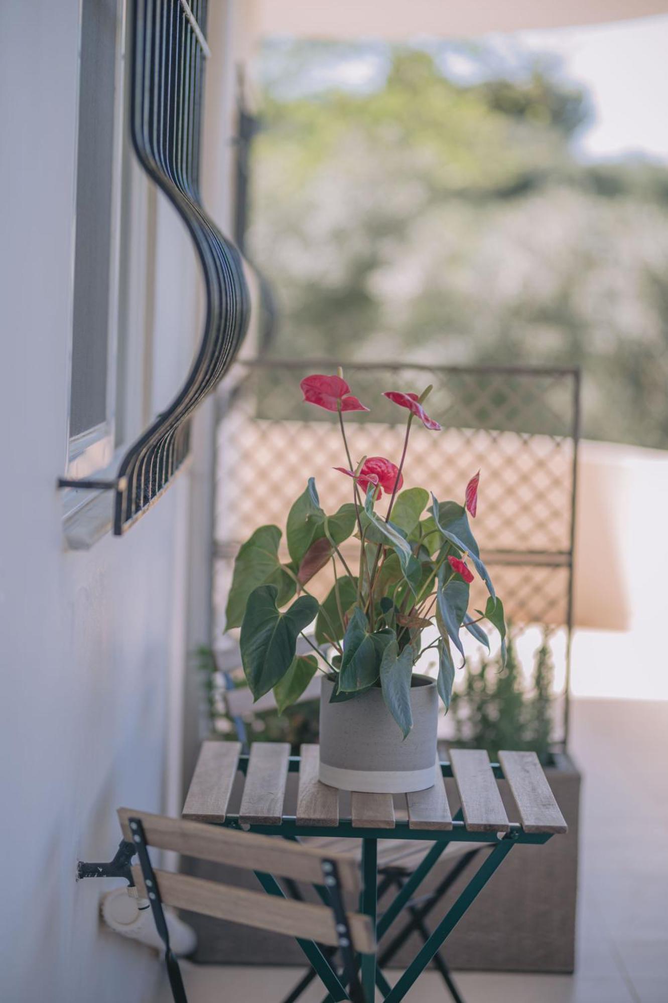 Summer Blue Apartments Chania La Canea Exterior foto
